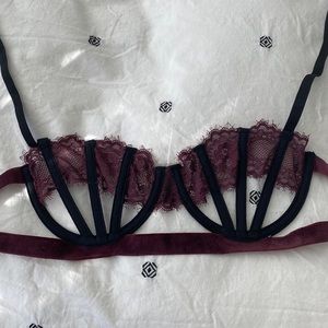 Thistle and Spire Burlesque Bra